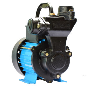 Self Priming Pumps