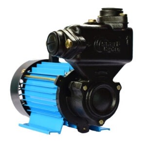 Sharp Hydro Senior 1100 1HP Self Priming Water Pump